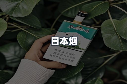 越南香烟系列
